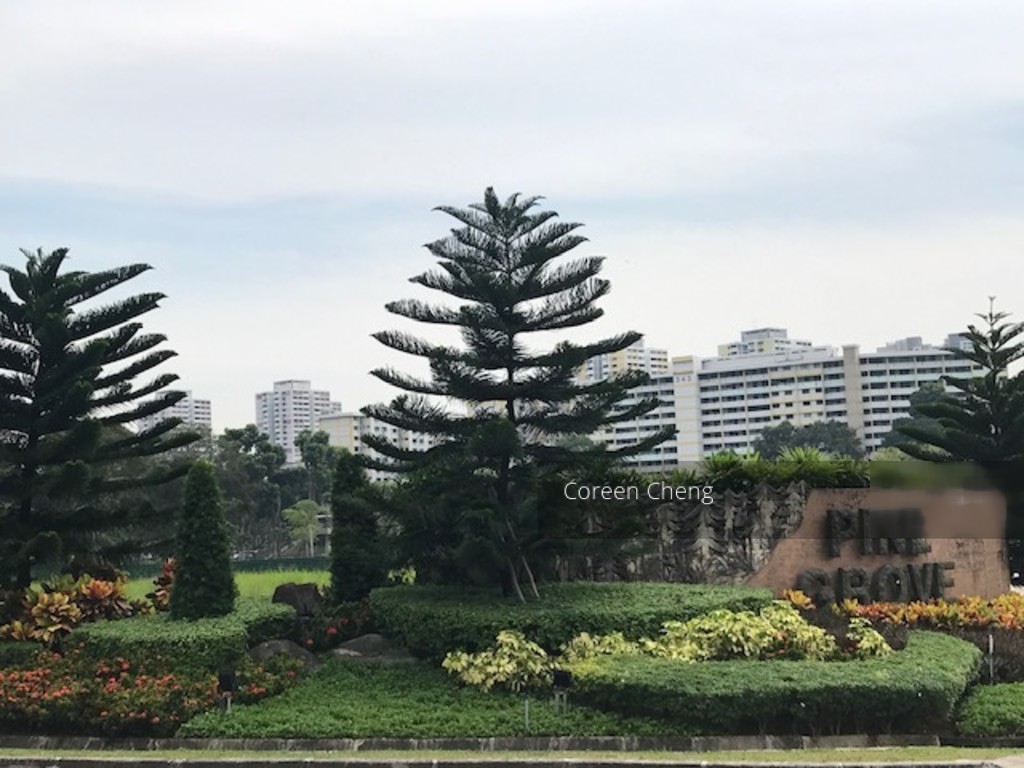 Pine Grove thumbnail photo